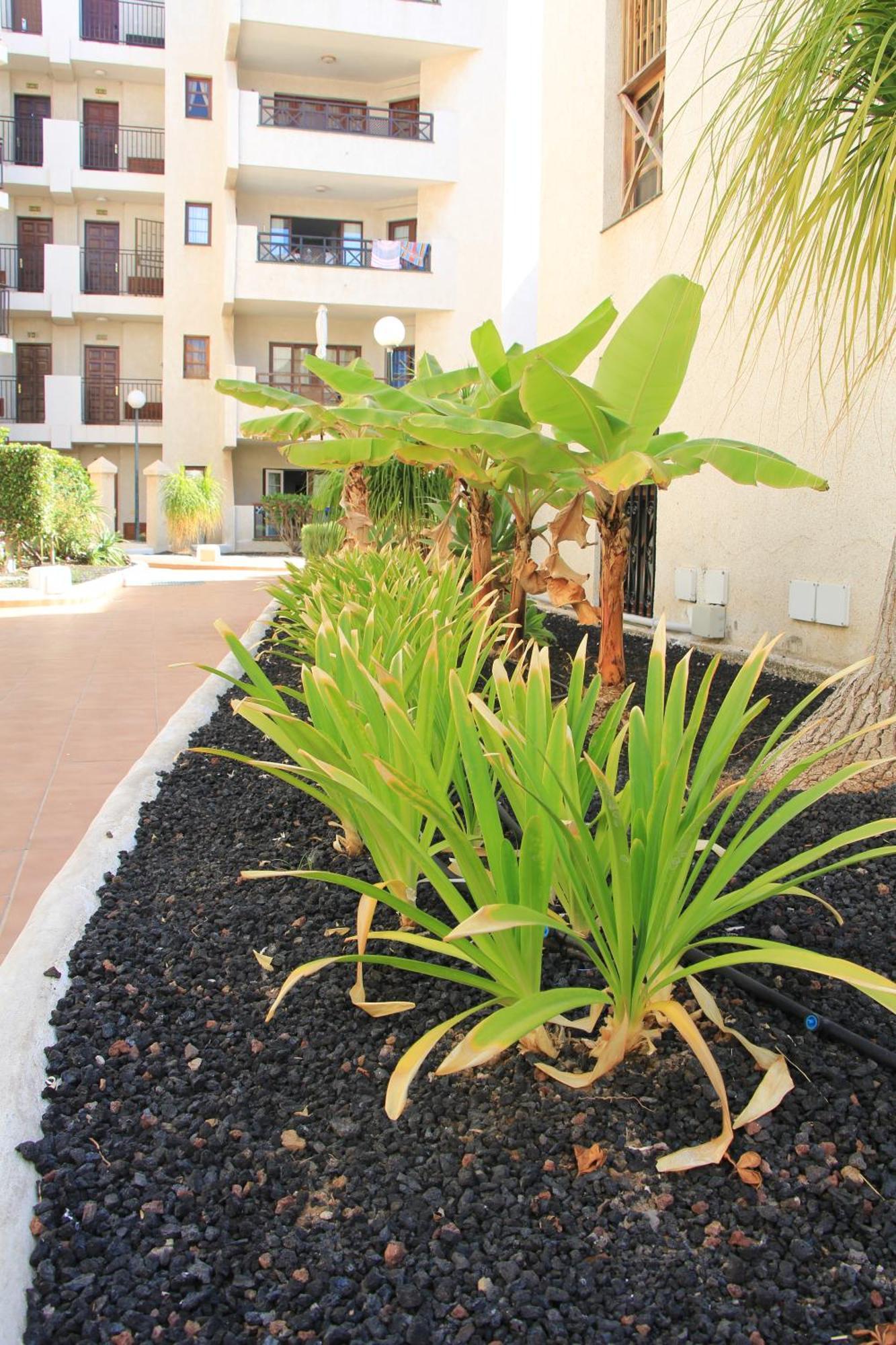 Las Americas - 2 Bedrooms - Flayla-A Arona  Exteriér fotografie